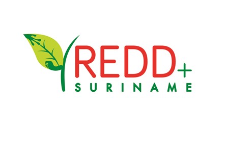 REDD+ logo (final).jpg